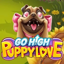 Play the Go High Puppy Love slot by RubyPlay on Winnita casino